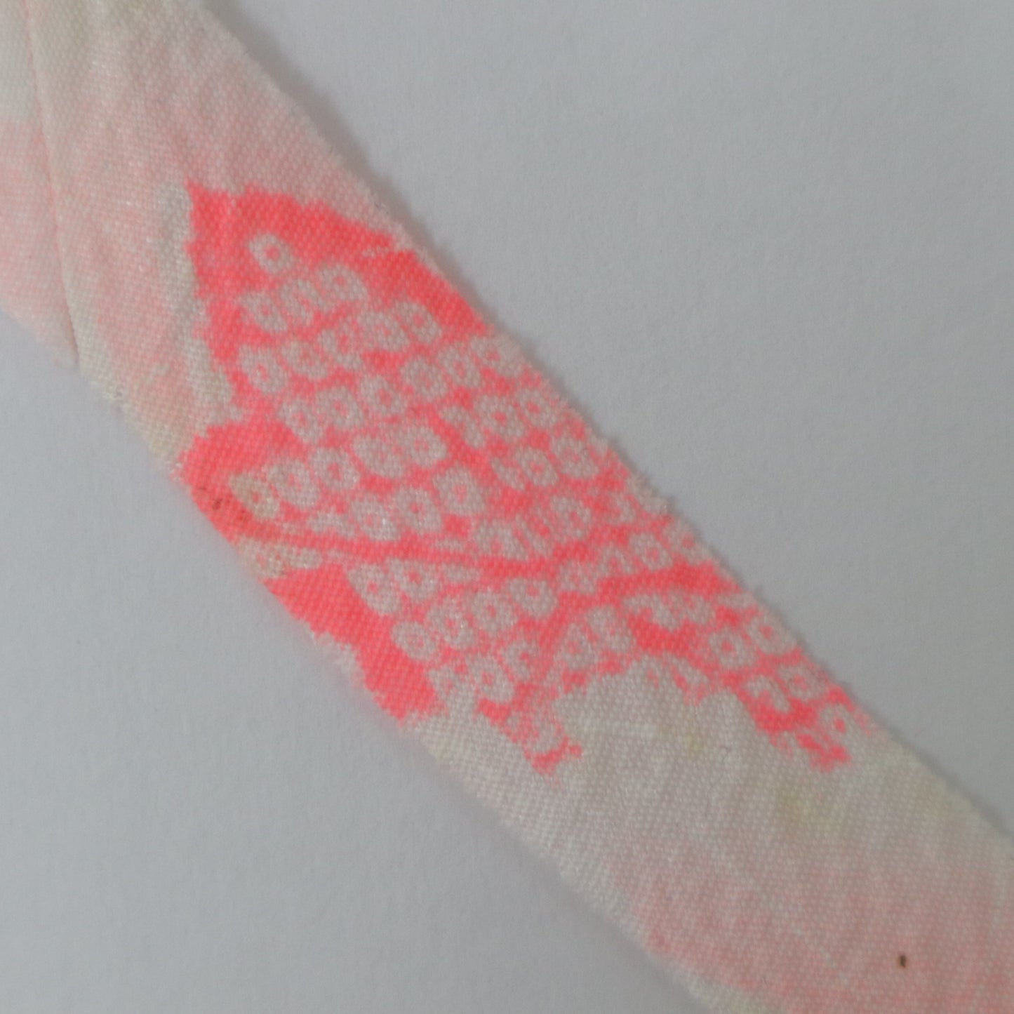 Fluorescent pink dappled flower (Y00000905)