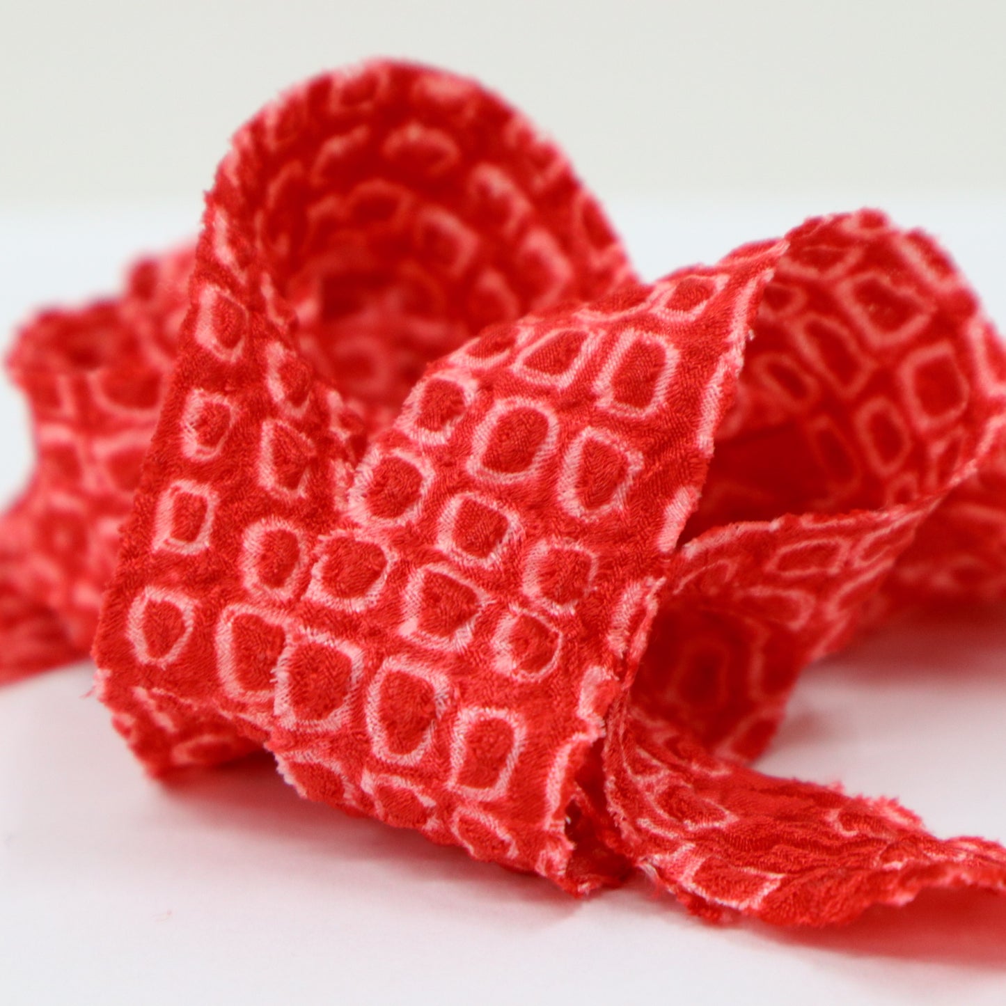 Red iris (Y02408002)