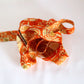 Orange tortoiseshell floral pattern/wool (Y02311022)