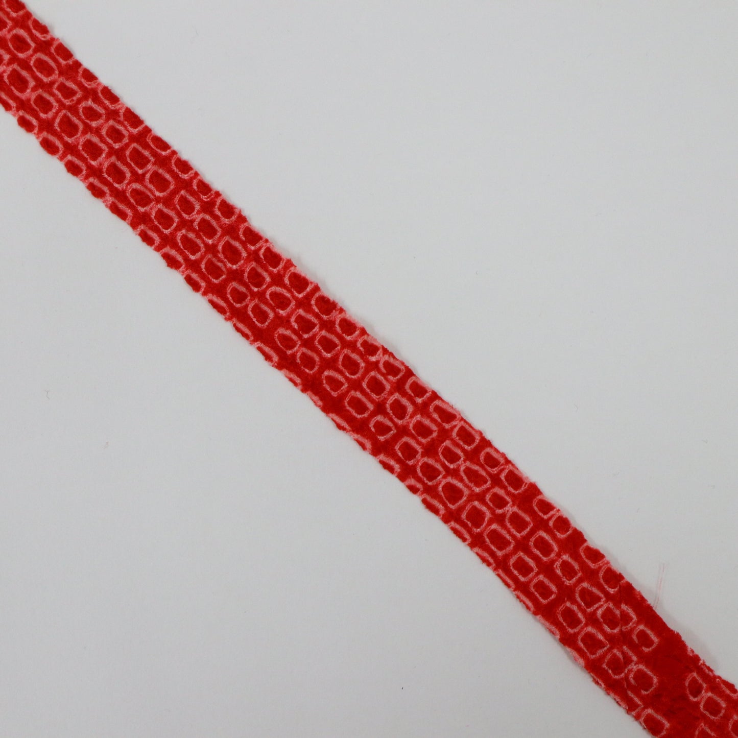 Red iris (Y02408002)