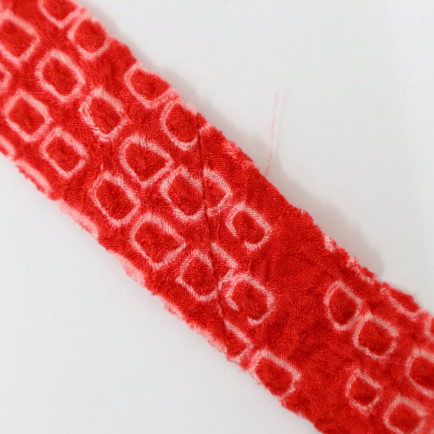 Red iris (Y02408002)